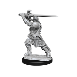 D&D Nolzurs Marvelous Unpainted Miniatures Human Paladin Male