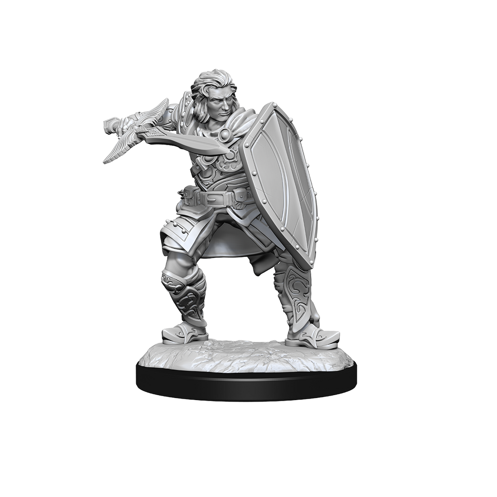 D&D Nolzurs Marvelous Unpainted Miniatures Human Paladin Male