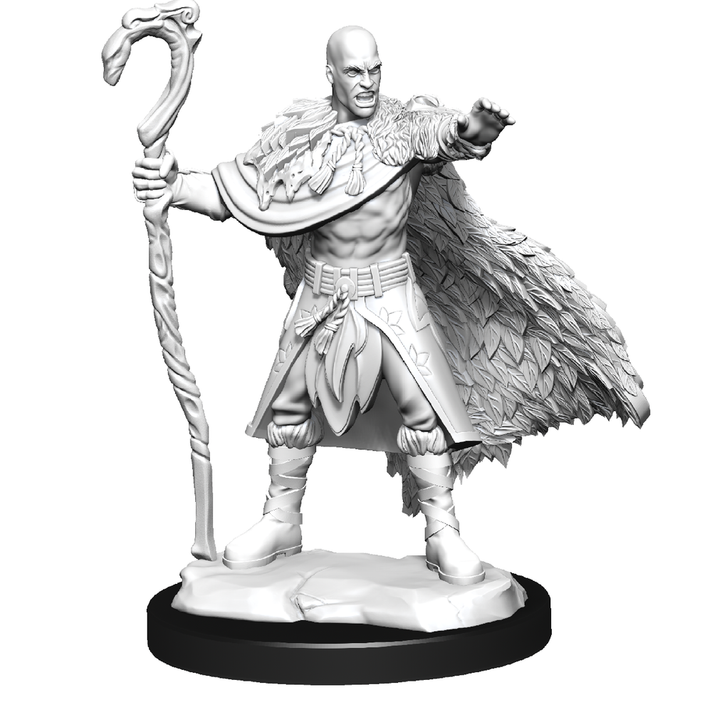 D&D Nolzurs Marvelous Unpainted Miniatures Human Druid Male