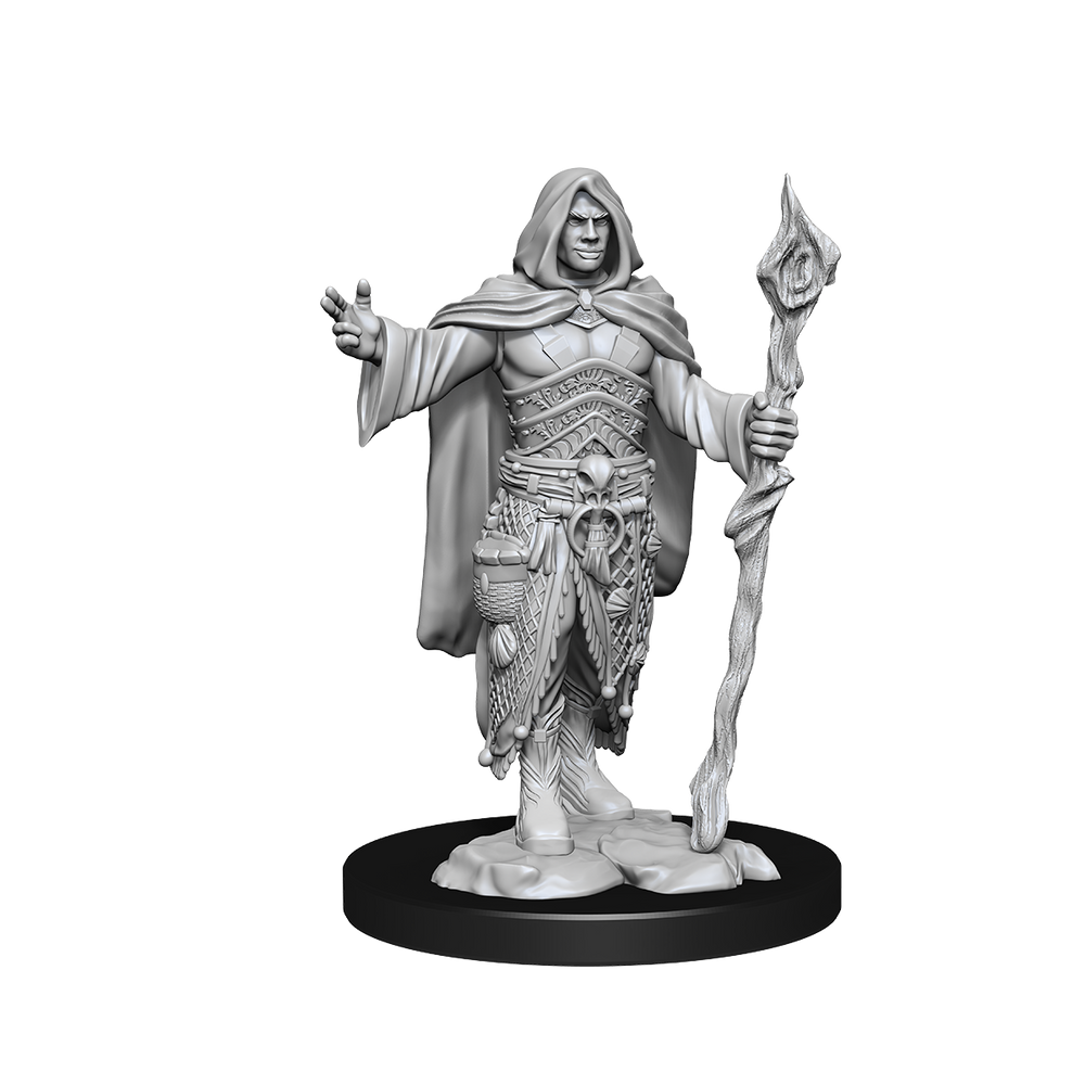 D&D Nolzurs Marvelous Unpainted Miniatures Human Druid Male