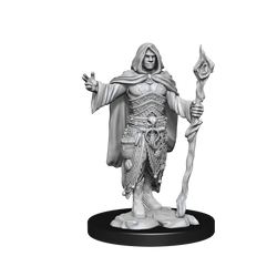 D&D Nolzurs Marvelous Unpainted Miniatures Human Druid Male