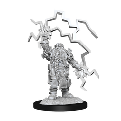 D&D Nolzurs Marvelous Unpainted Miniatures Dwarf Cleric Male