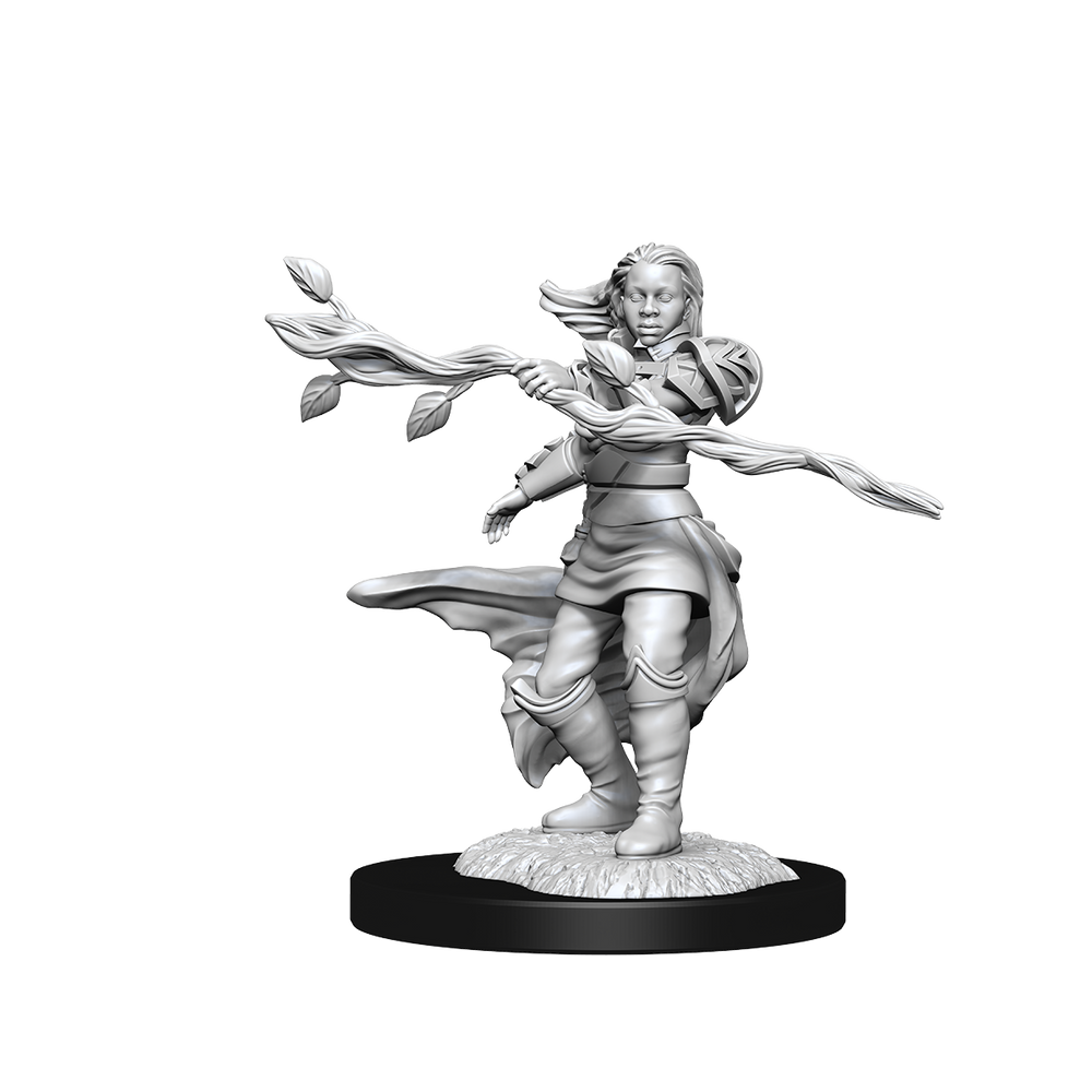 D&D Nolzurs Marvelous Unpainted Miniatures Human Druid Female