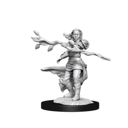 D&D Nolzurs Marvelous Unpainted Miniatures Human Druid Female