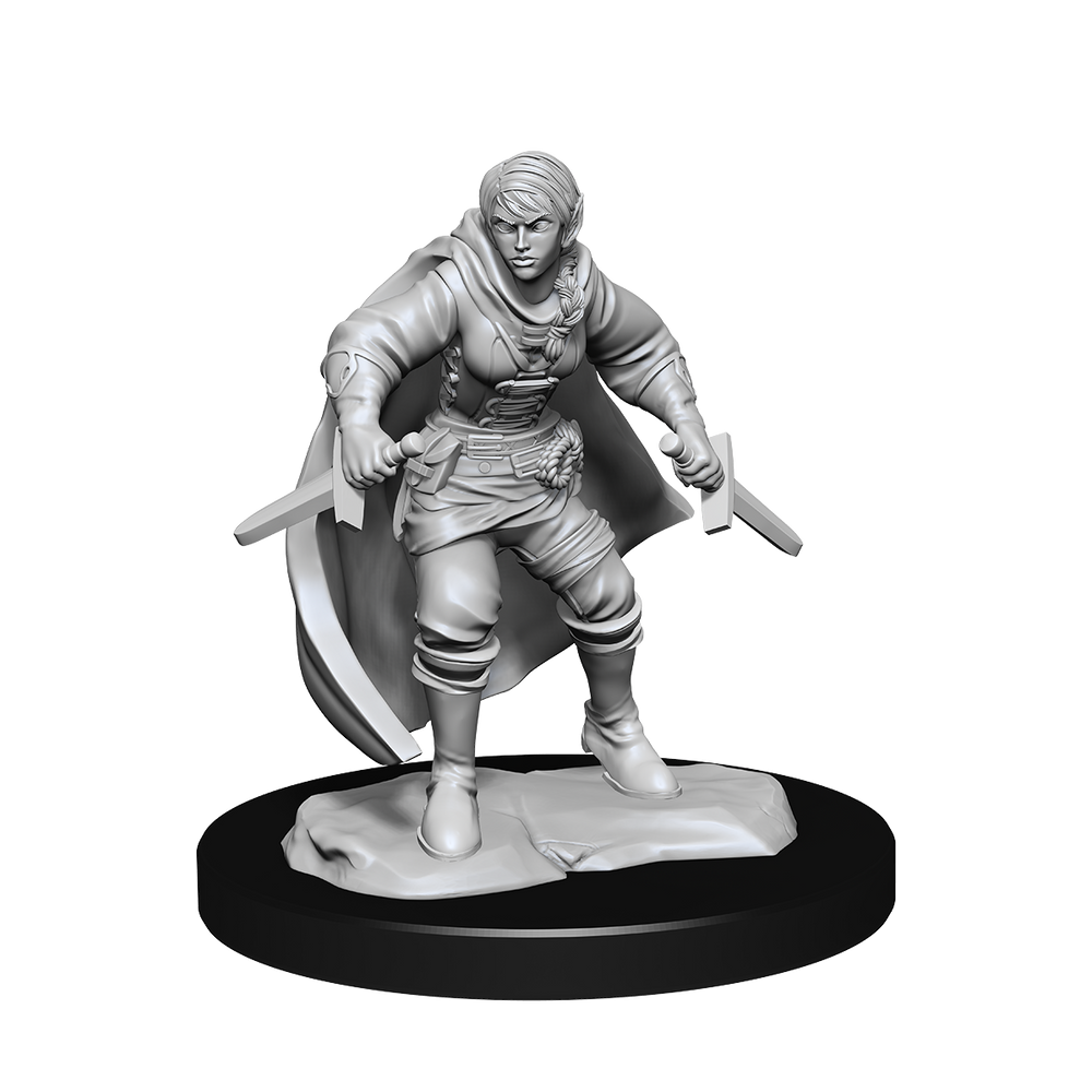 D&D Nolzurs Marvelous Unpainted Miniatures Half-Elf Rogue Female