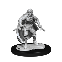 D&D Nolzurs Marvelous Unpainted Miniatures Half-Elf Rogue Female