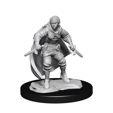 D&D Nolzurs Marvelous Unpainted Miniatures Half-Elf Rogue Female