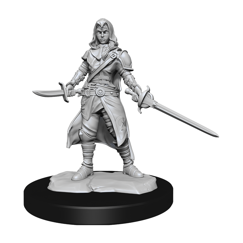 D&D Nolzurs Marvelous Unpainted Miniatures Half-Elf Rogue Female