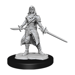 D&D Nolzurs Marvelous Unpainted Miniatures Half-Elf Rogue Female