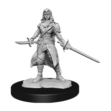 D&D Nolzurs Marvelous Unpainted Miniatures Half-Elf Rogue Female