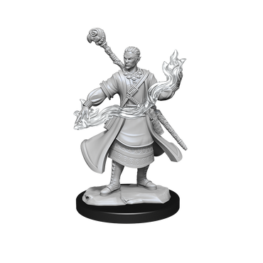 D&D Nolzurs Marvelous Unpainted Miniatures Half-Elf Wizard Male