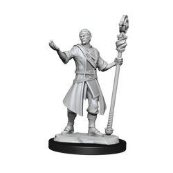 D&D Nolzurs Marvelous Unpainted Miniatures Half-Elf Wizard Male