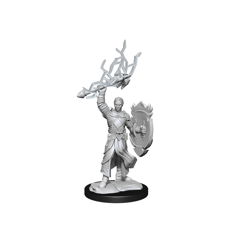 D&D Nolzurs Marvelous Unpainted Miniatures Half-Elf Paladin Male