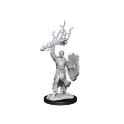 D&D Nolzurs Marvelous Unpainted Miniatures Half-Elf Paladin Male
