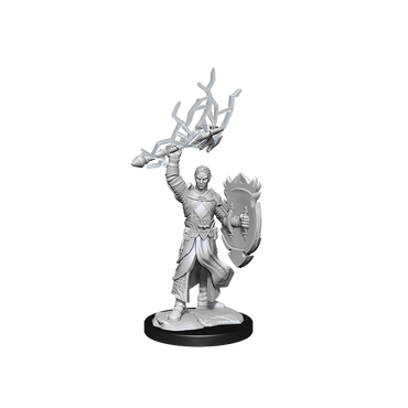D&D Nolzurs Marvelous Unpainted Miniatures Half-Elf Paladin Male