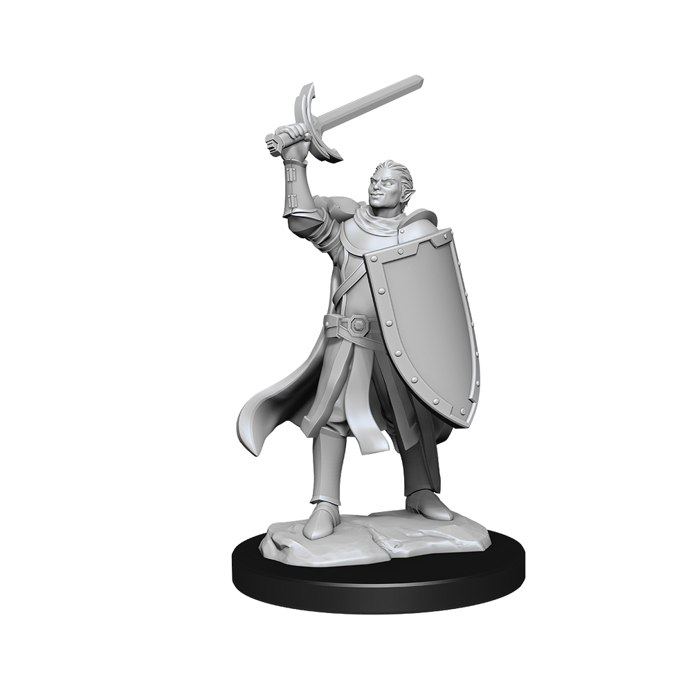 D&D Nolzurs Marvelous Unpainted Miniatures Half-Elf Paladin Male