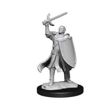 D&D Nolzurs Marvelous Unpainted Miniatures Half-Elf Paladin Male