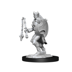 D&D Nolzurs Marvelous Unpainted Miniatures Kalashtar Cleric Female