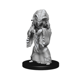 D&D Nolzurs Marvelous Unpainted Miniatures Night Hag & Dusk Hag