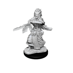 D&D Nolzurs Marvelous Unpainted Miniatures Night Hag & Dusk Hag