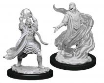 D&D Nolzur's Marvelous Miniatures: Male Elf Sorcerer