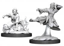 D&D Nolzur's Marvelous Miniatures: Female Human Monk