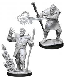D&D Nolzur's Marvelous Miniatures: Male Firbolg Druid