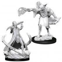 D&D Nolzur's Marvelous Miniatures: Arcanaloth & Ultraloth