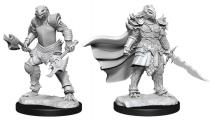 D&D Nolzurs Marvelous Unpainted Miniatures Dragonborn Fighter Female