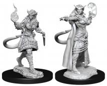 D&D Nolzurs Marvelous Unpainted Miniatures Tiefling Sorcerer Female