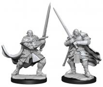 D&D Nolzurs Marvelous Unpainted Miniatures Half-Orc Paladin Male