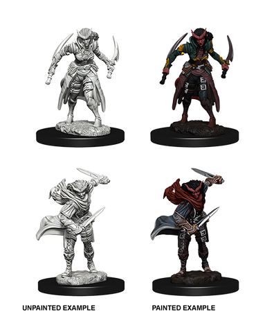 D&D Nolzur's Marvelous Miniatures: Tiefling Female Rogue