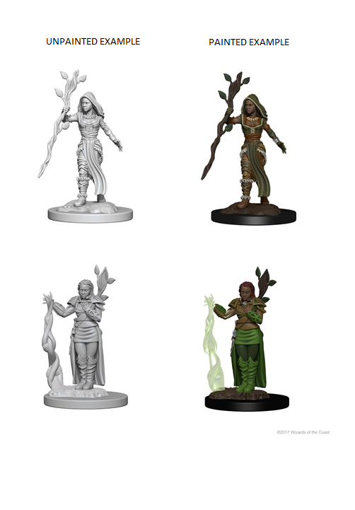 D&D Nolzur's Marvelous Miniatures: Human Female Druid