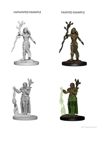 D&D Nolzur's Marvelous Miniatures: Human Female Druid