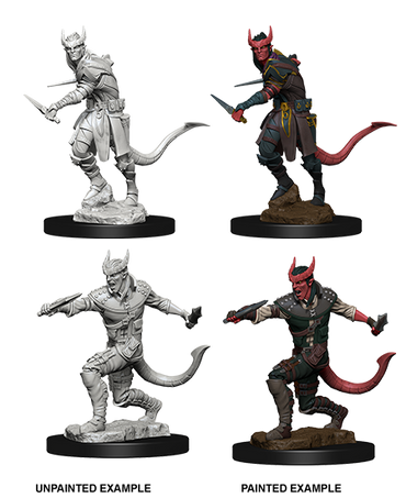 D&D Nolzur's Marvelous Miniatures: Tiefling Male Rogue