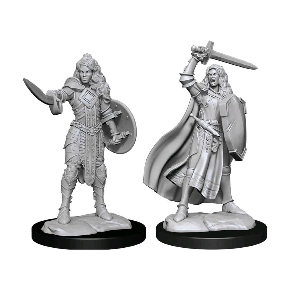 Pathfinder Deepcuts Unpainted Miniatures Human Champion Female